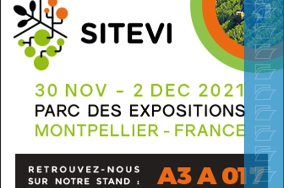 SITEVI 2017